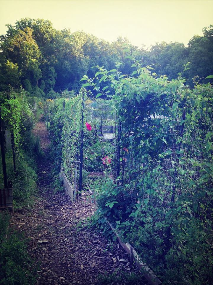 glover park community gardens